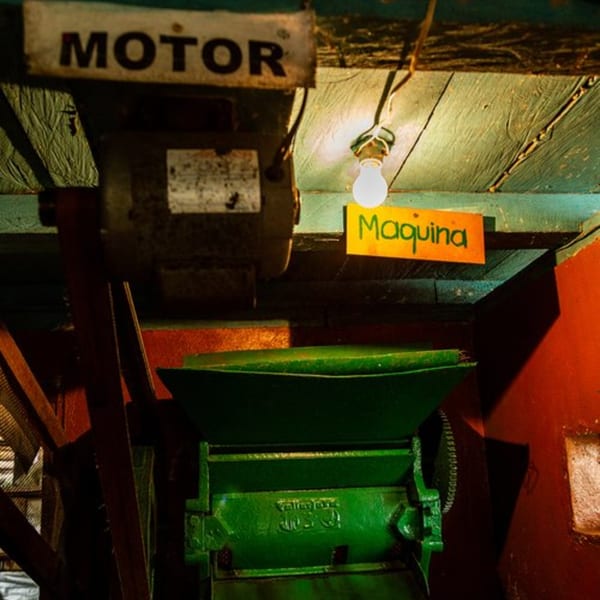 Industrial coffee processing machinery with a sign reading "MOTOR" and "Maquinaria" (Machinery).