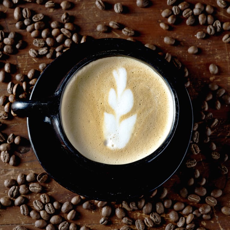 Indulge in Our Lattes